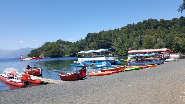 2017-12-06 17.05.51.jpg