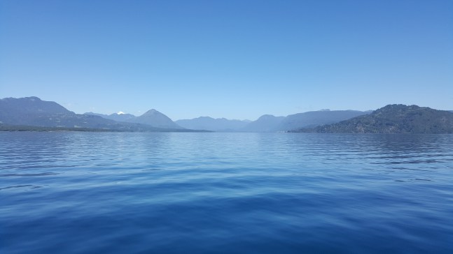 2017-12-06 19.45.55.jpg